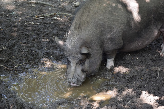 球队不仅在 球队不仅在