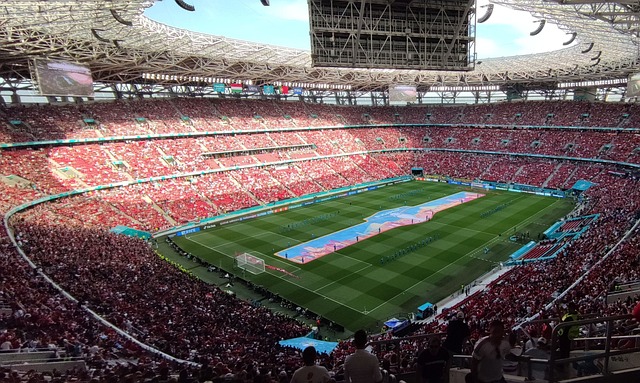 这位年轻的 这位年轻的