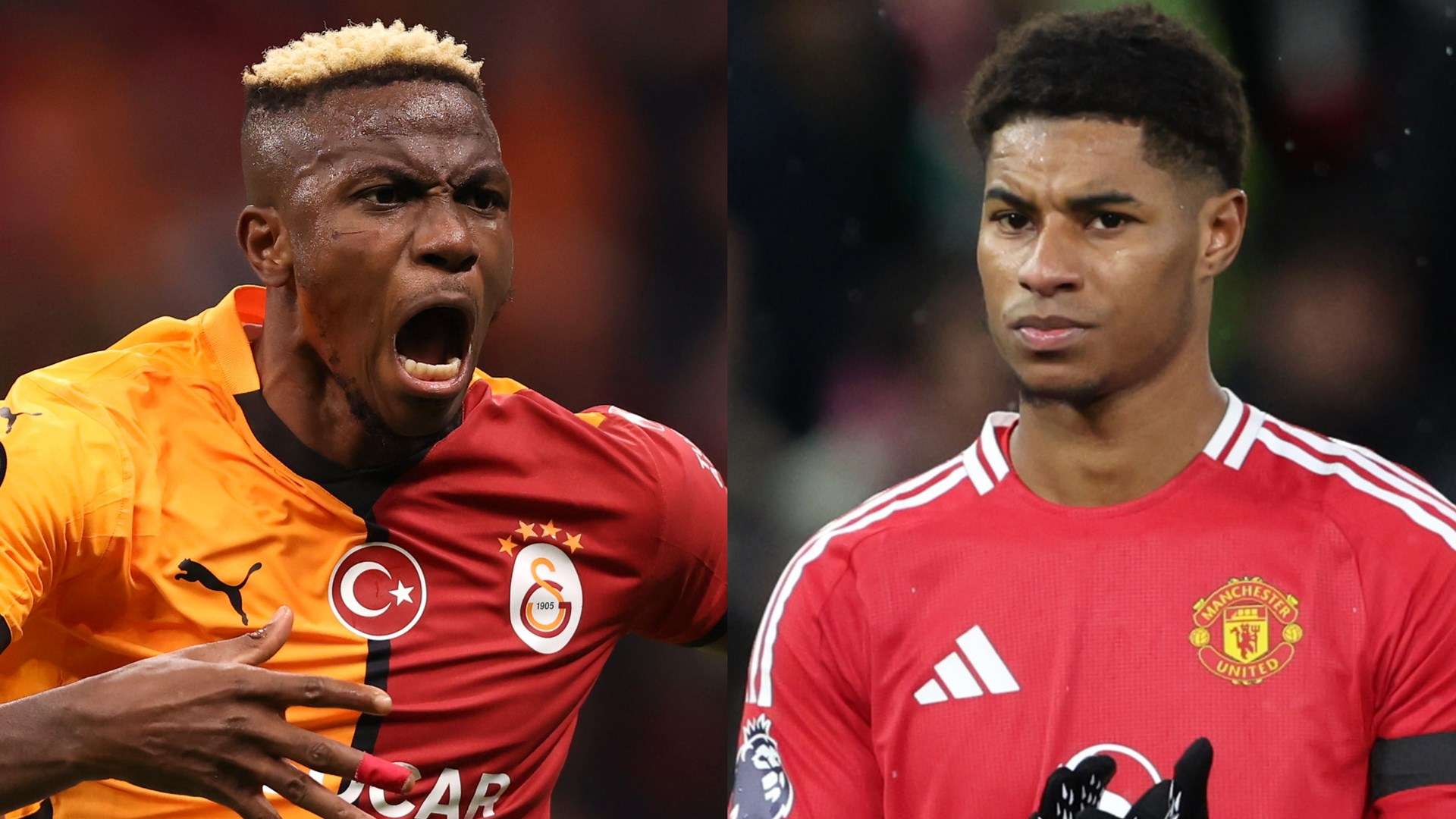 常年位于全 常年位于全