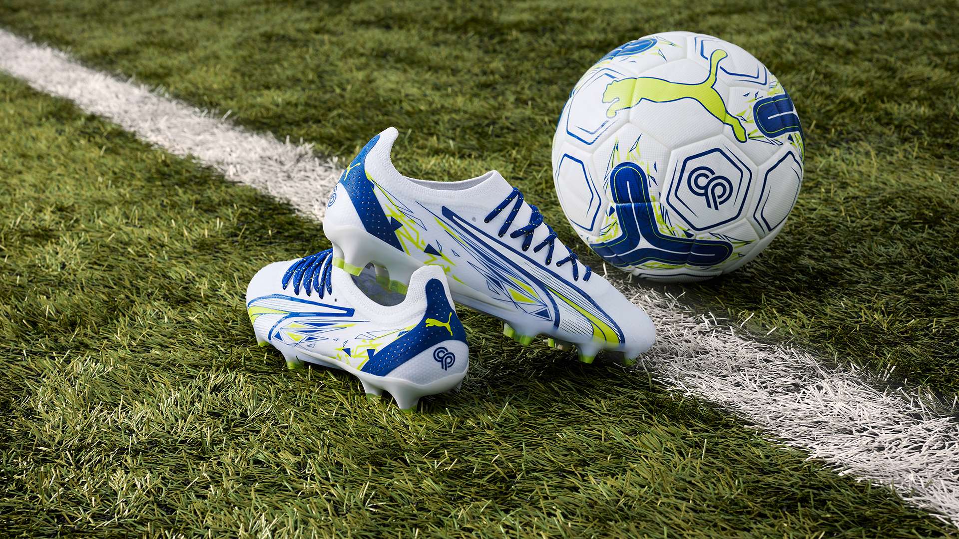 的未来发展 的未来发展