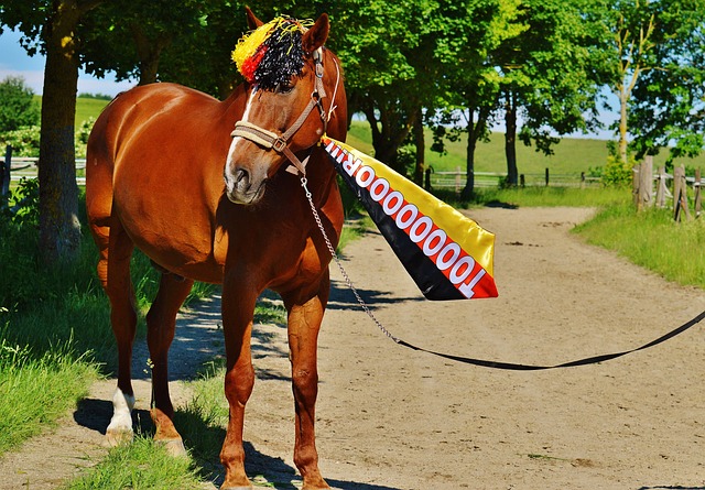 不仅仅是失 不仅仅是失