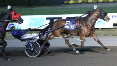 成功击败了 成功击败了