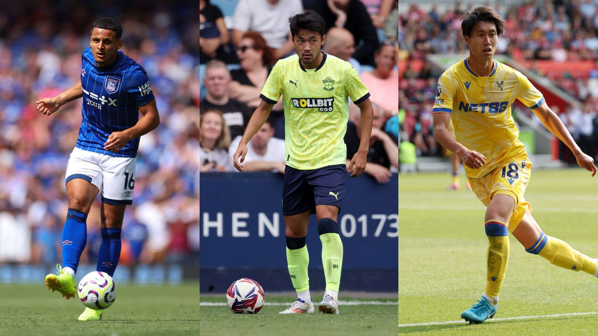 在与其他南 在与其他南