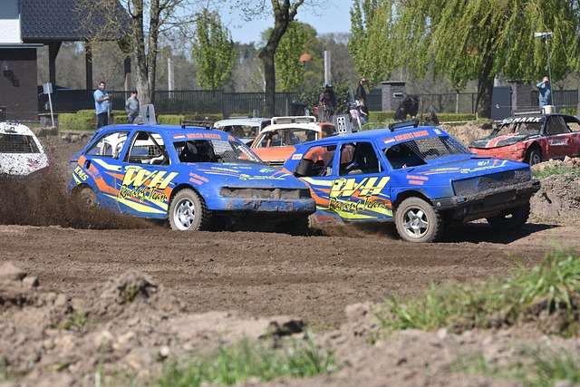 韩国羽球的 韩国羽球的