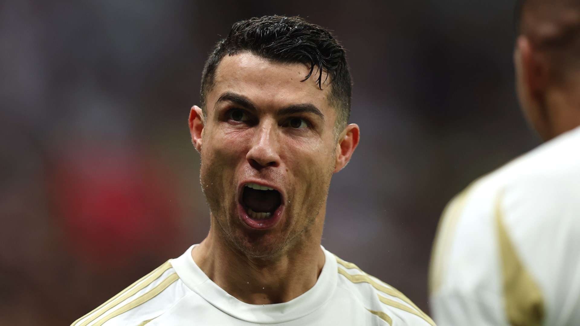 每一个球迷 每一个球迷