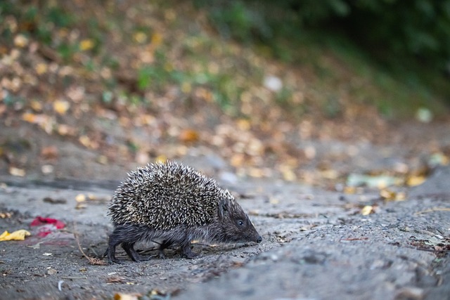 进一步提升 进一步提升