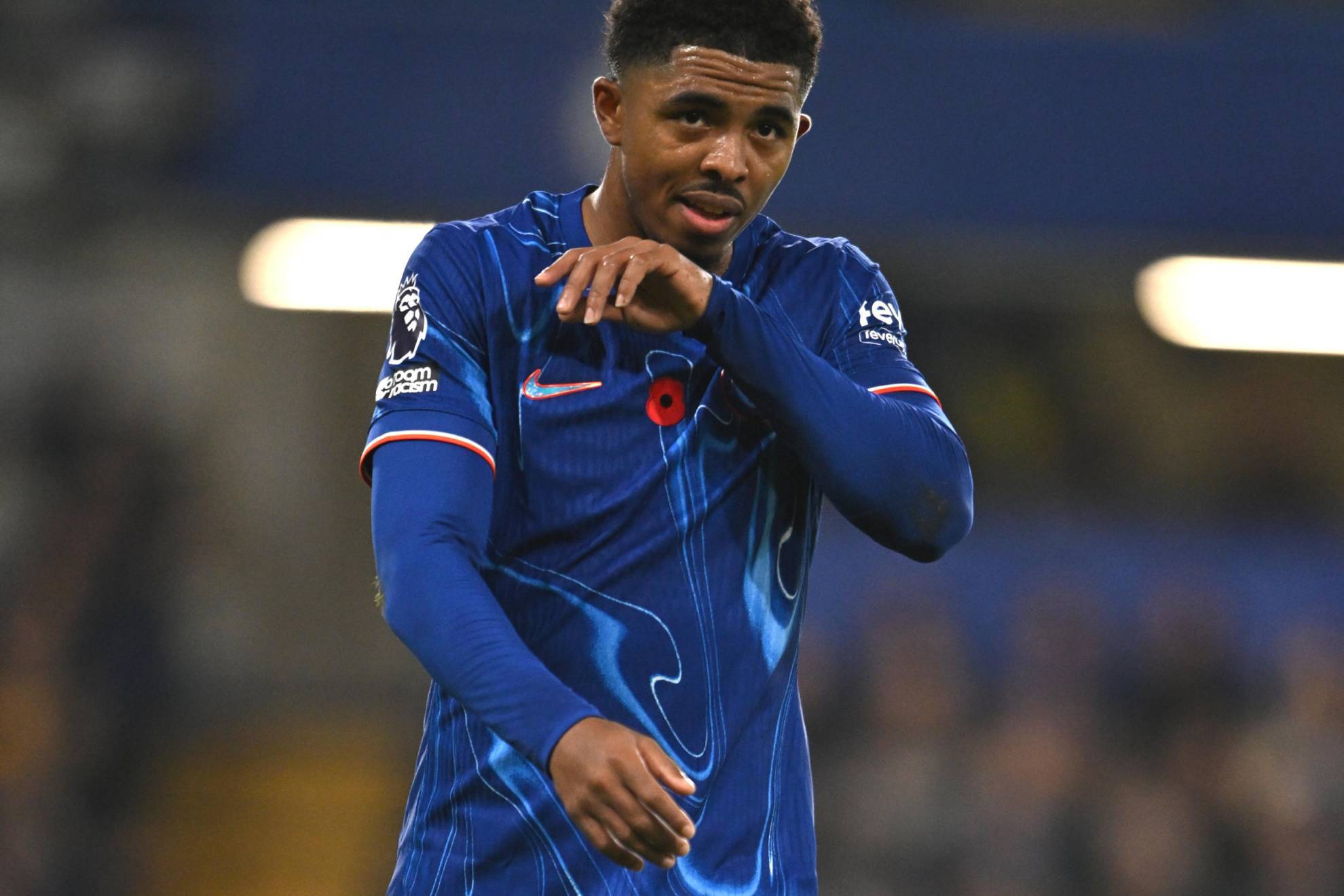 赏性与参与 赏性与参与