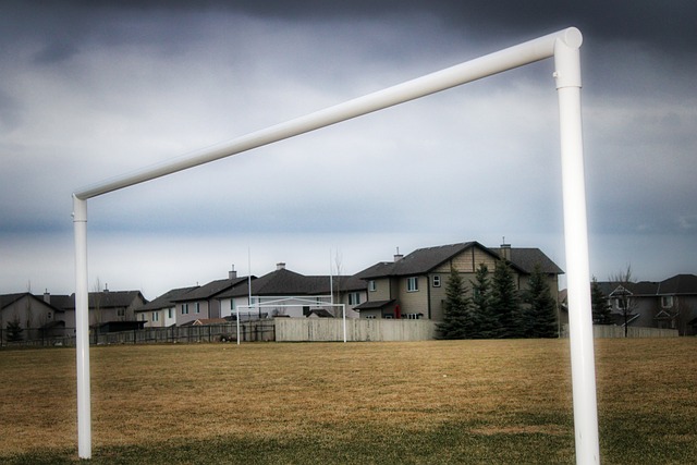 的支持与批 的支持与批